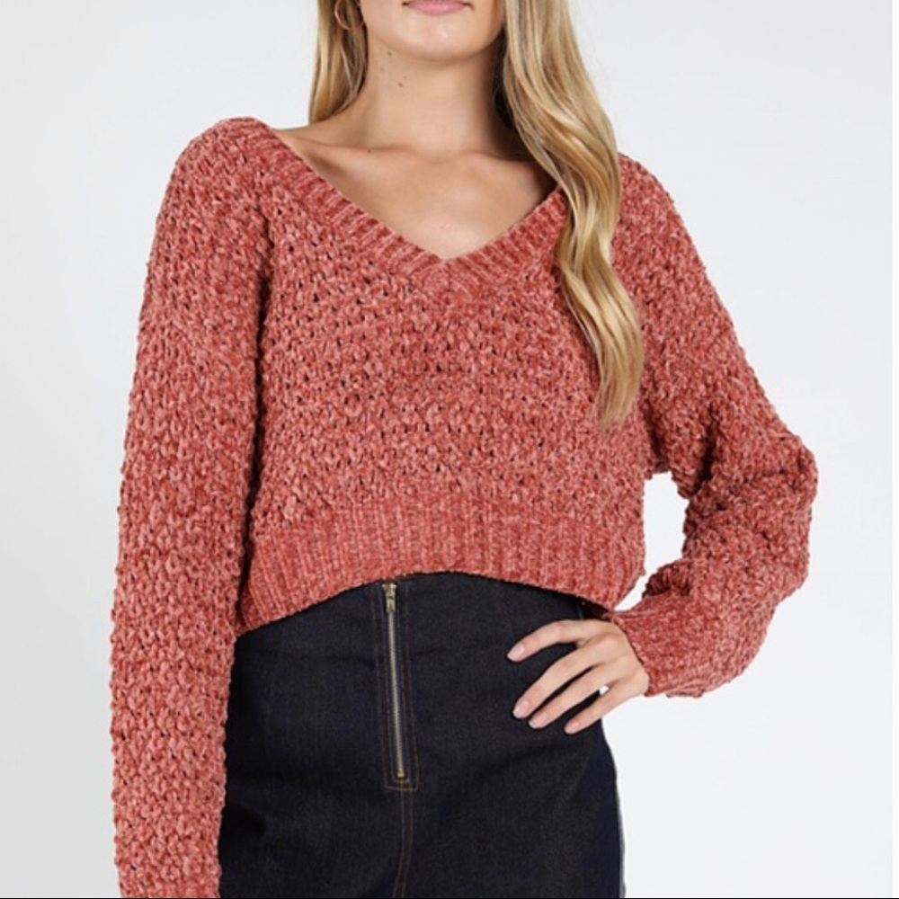 Wild honey v-neck crop sweater